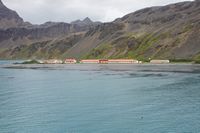 
DSC00035
